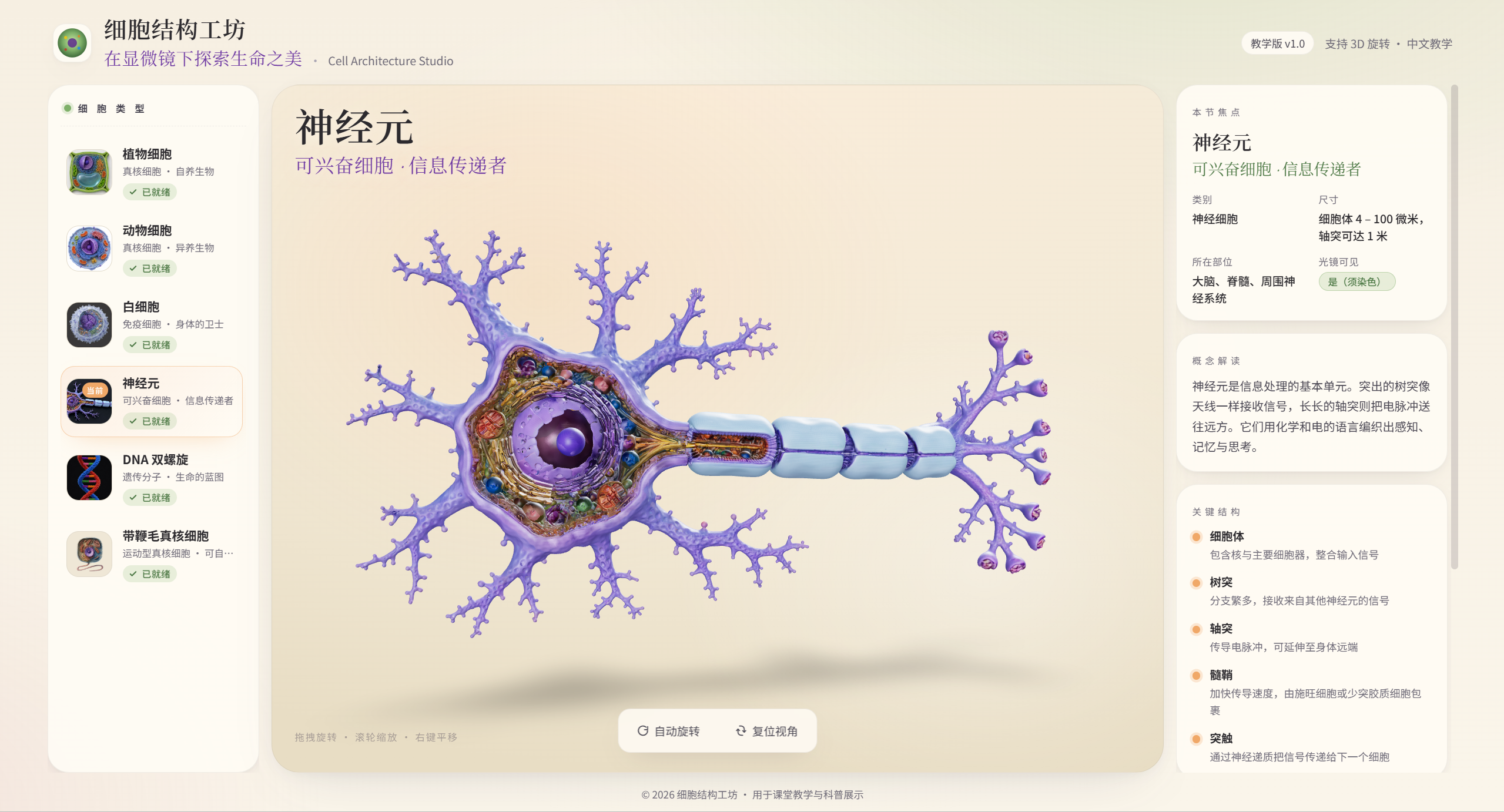 生物细胞3D结构