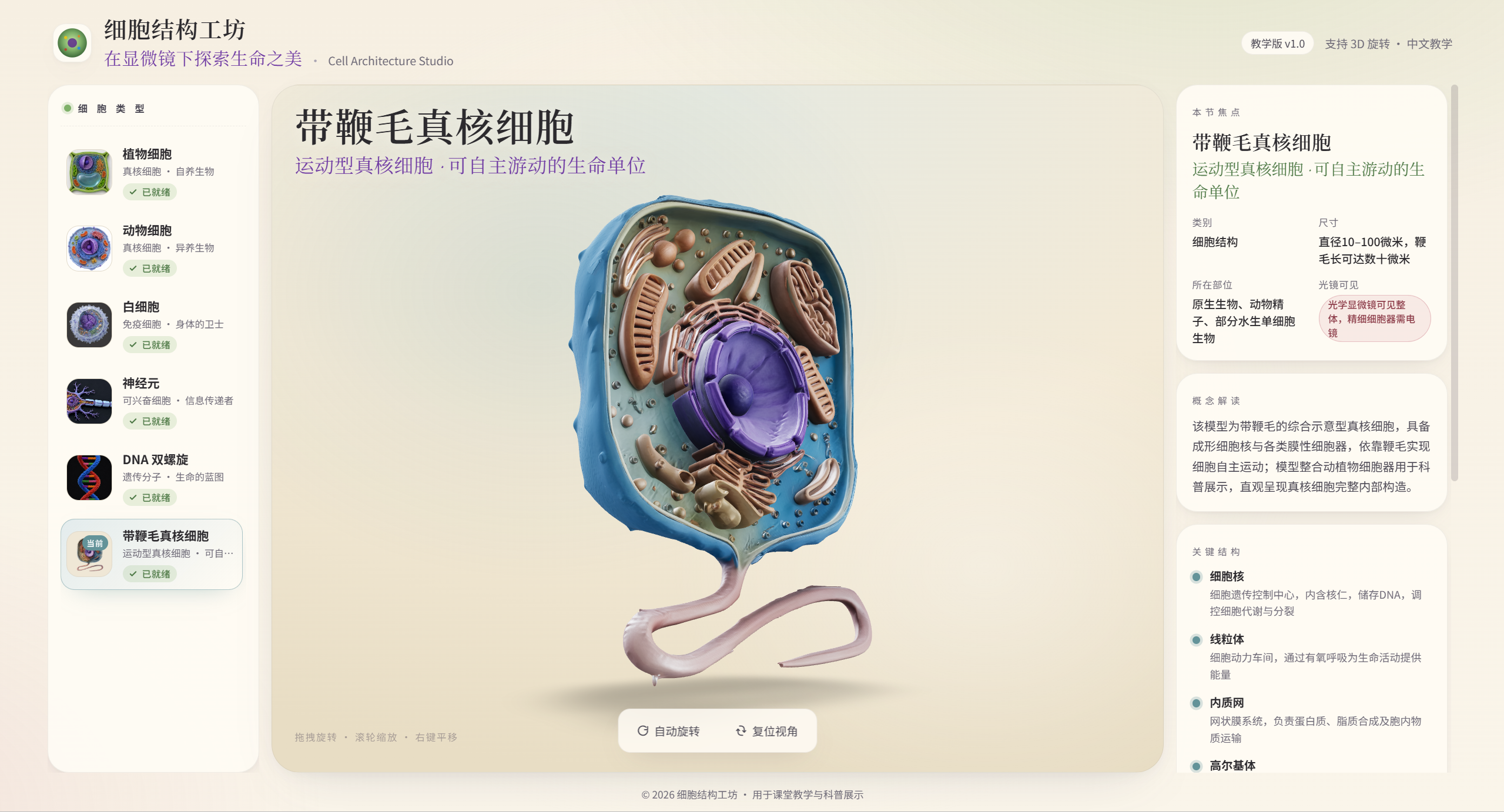 生物细胞3D结构