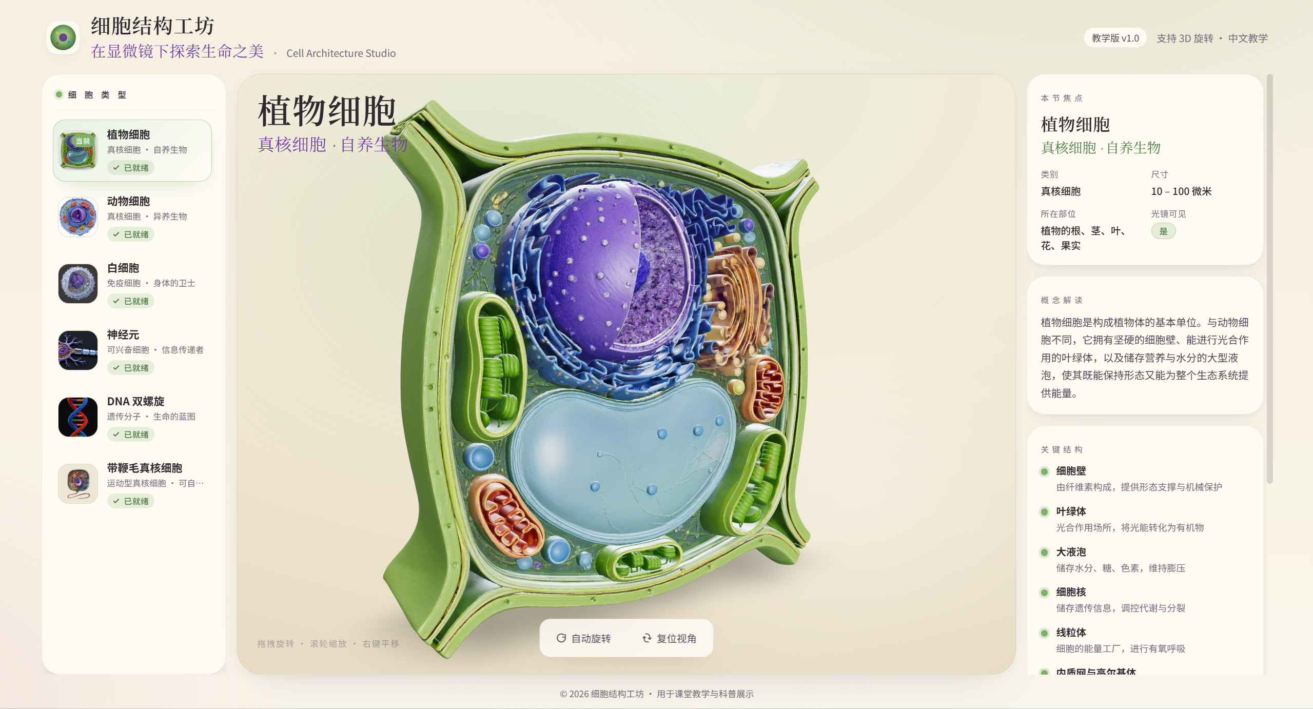 生物细胞3D结构